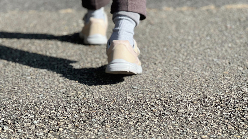 所在調査とは？所在調査の調査手法や必要性とその成果 